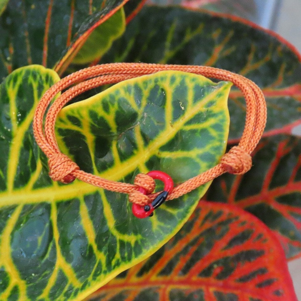 Red Bracelet | Glass Carabiner | Rock Climbing Gift